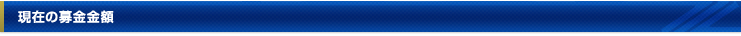 現在の募金金額