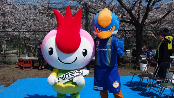 ゼルビーが 金井さくら花祭り に参加しました Fc町田ゼルビア オフィシャルサイト ゼルビーが 金井さくら花祭り に参加しました Fc町田ゼルビア オフィシャルサイト
