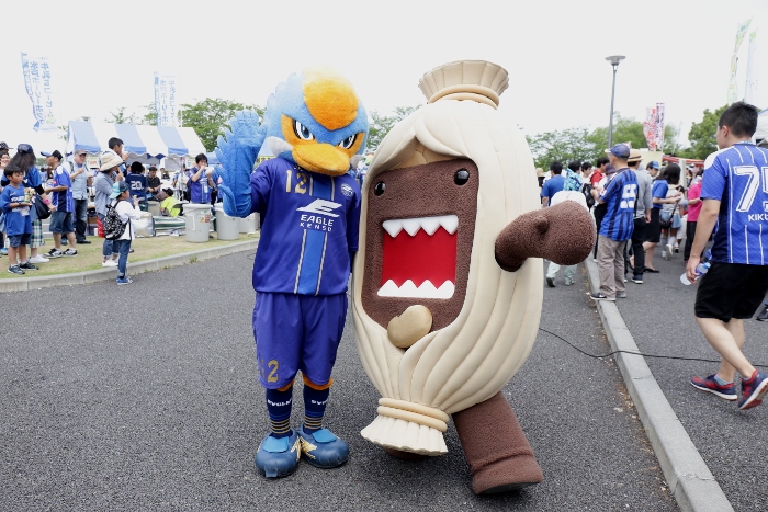 160612E_0196 (700x467)