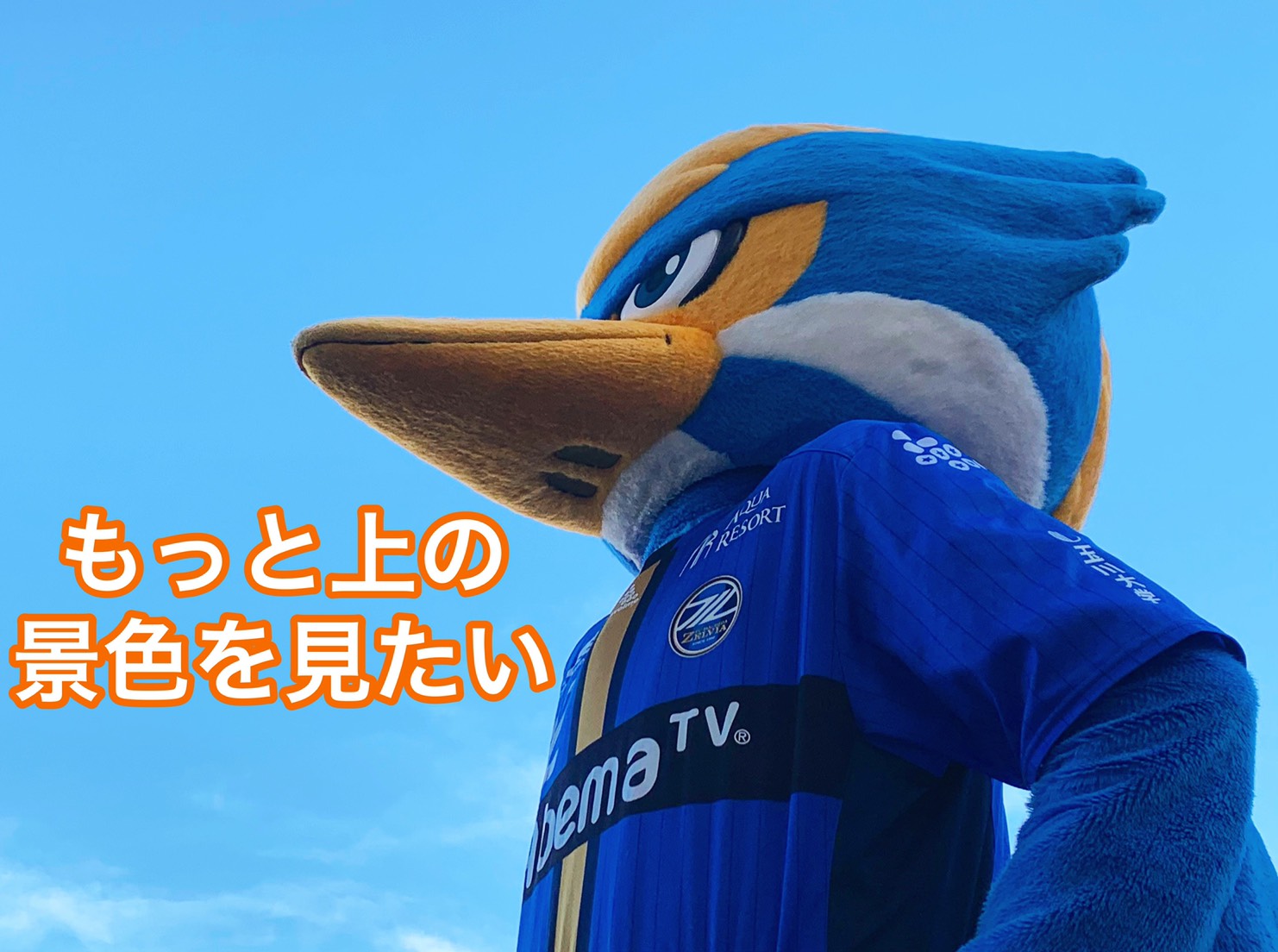 jリーグマスコット総選挙21での目標順位について Fc町田ゼルビア オフィシャルサイト jリーグマスコット総選挙21での目標順位について Fc町田ゼルビア オフィシャルサイト