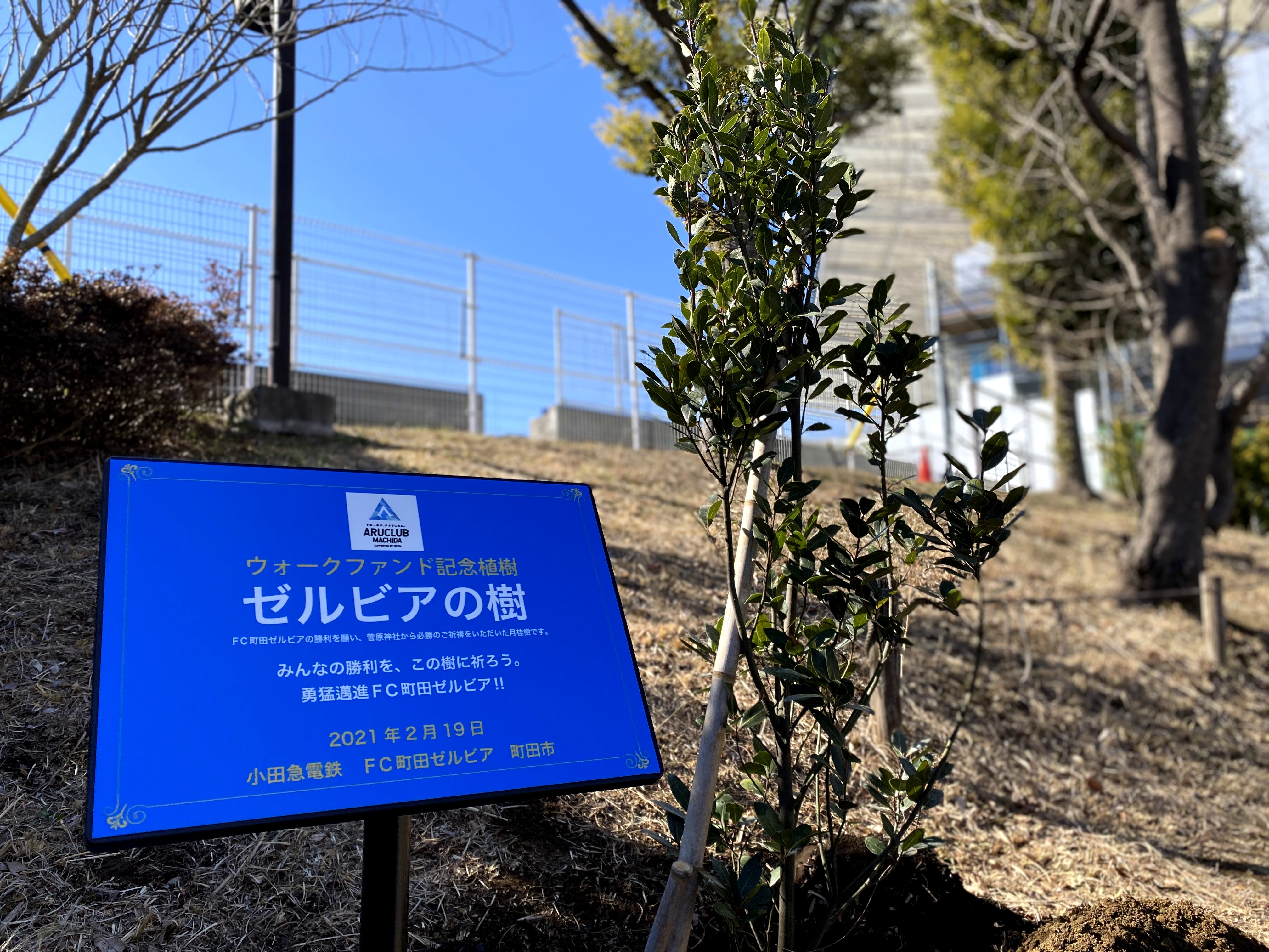 【ARUCLUB】3,000万歩達成記念 植樹式を行いました