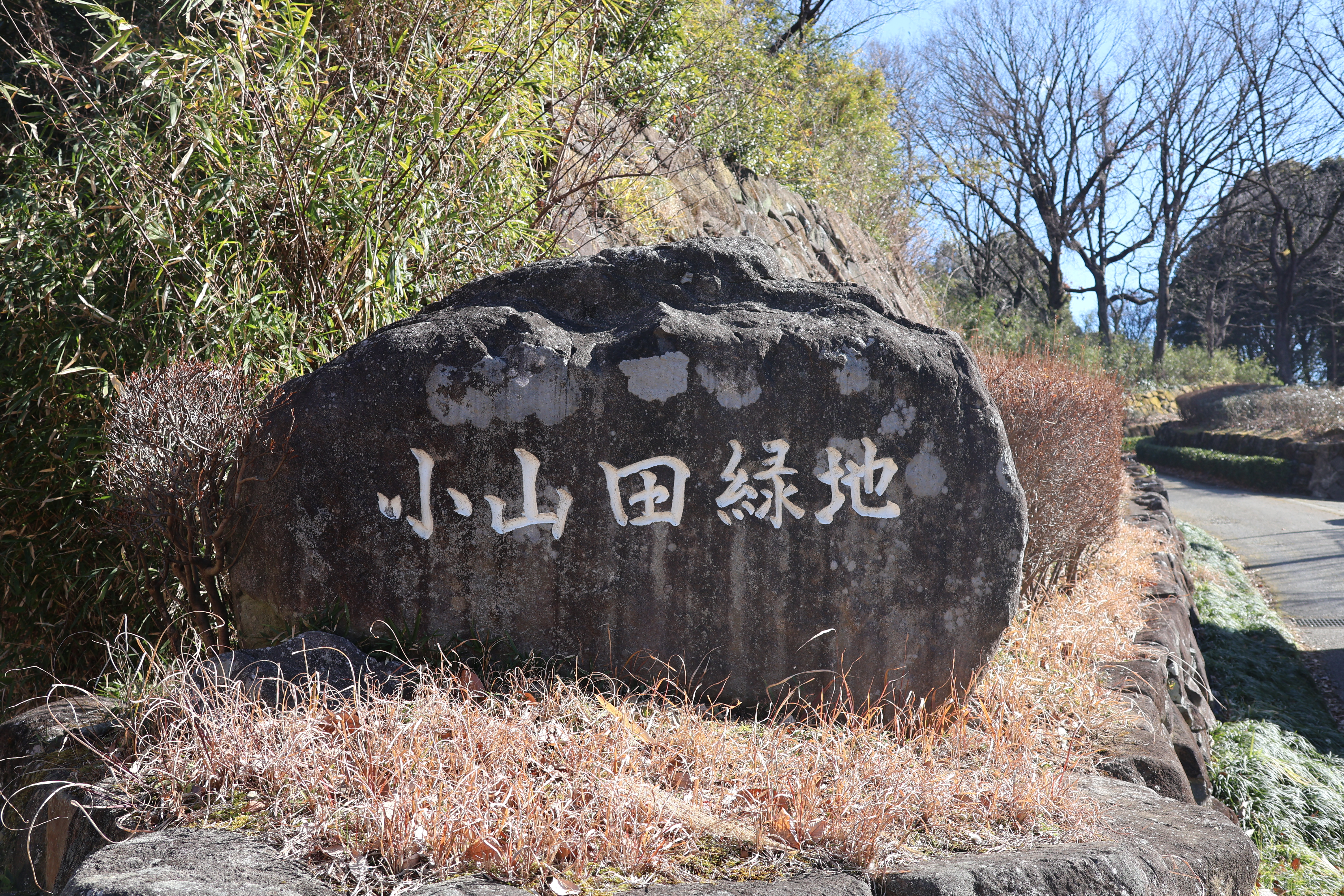 【1/28(土)】小山田緑地公園にて親子サッカー教室を実施しました！