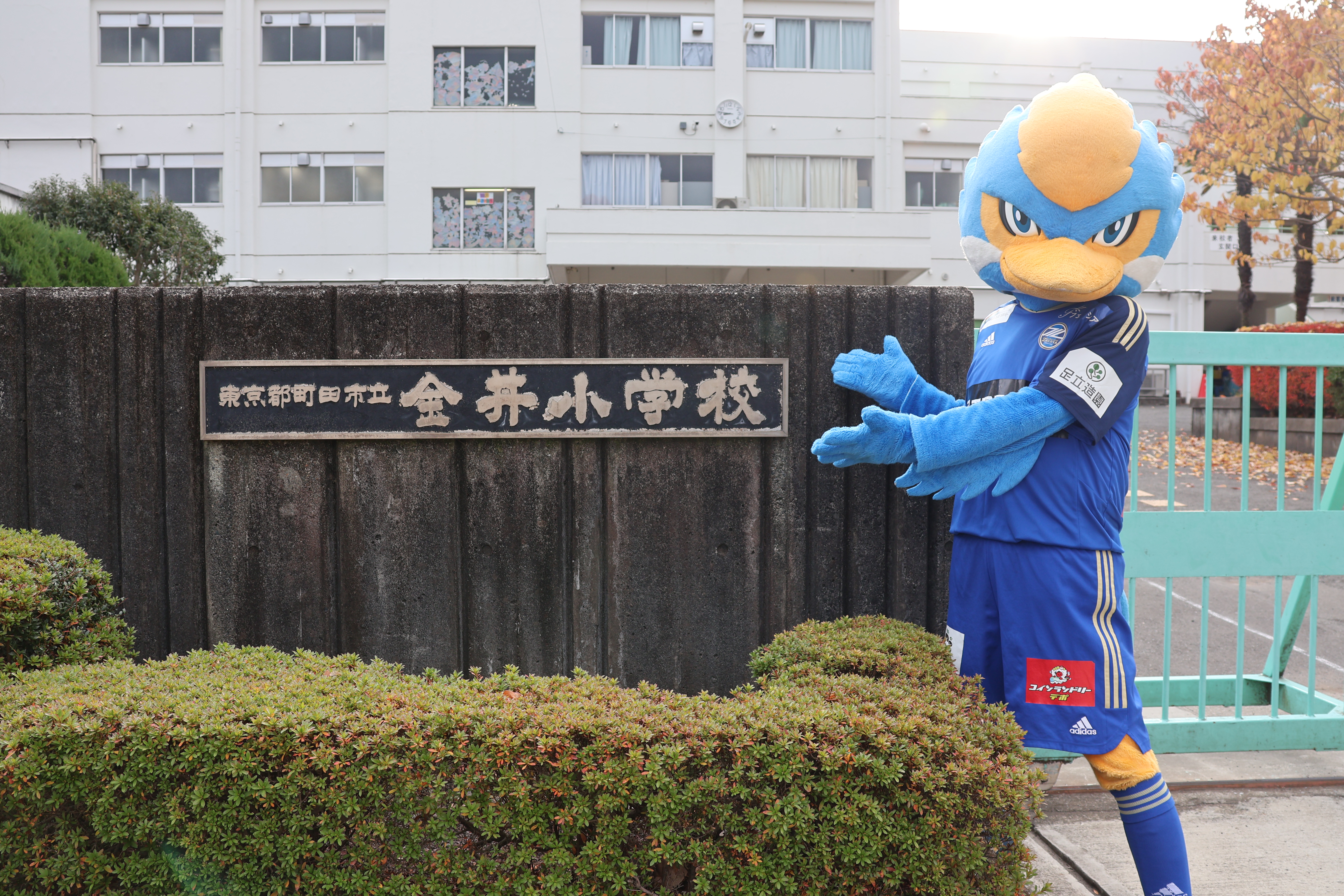 【活動報告】町田市立金井小学校にてゼルビア朝礼を実施！
