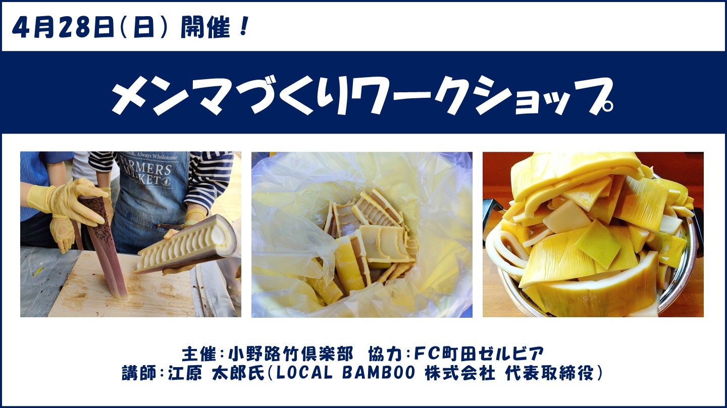 【参加者募集！】4/28(日) 小野路でメンマづくり開催のお知らせ
