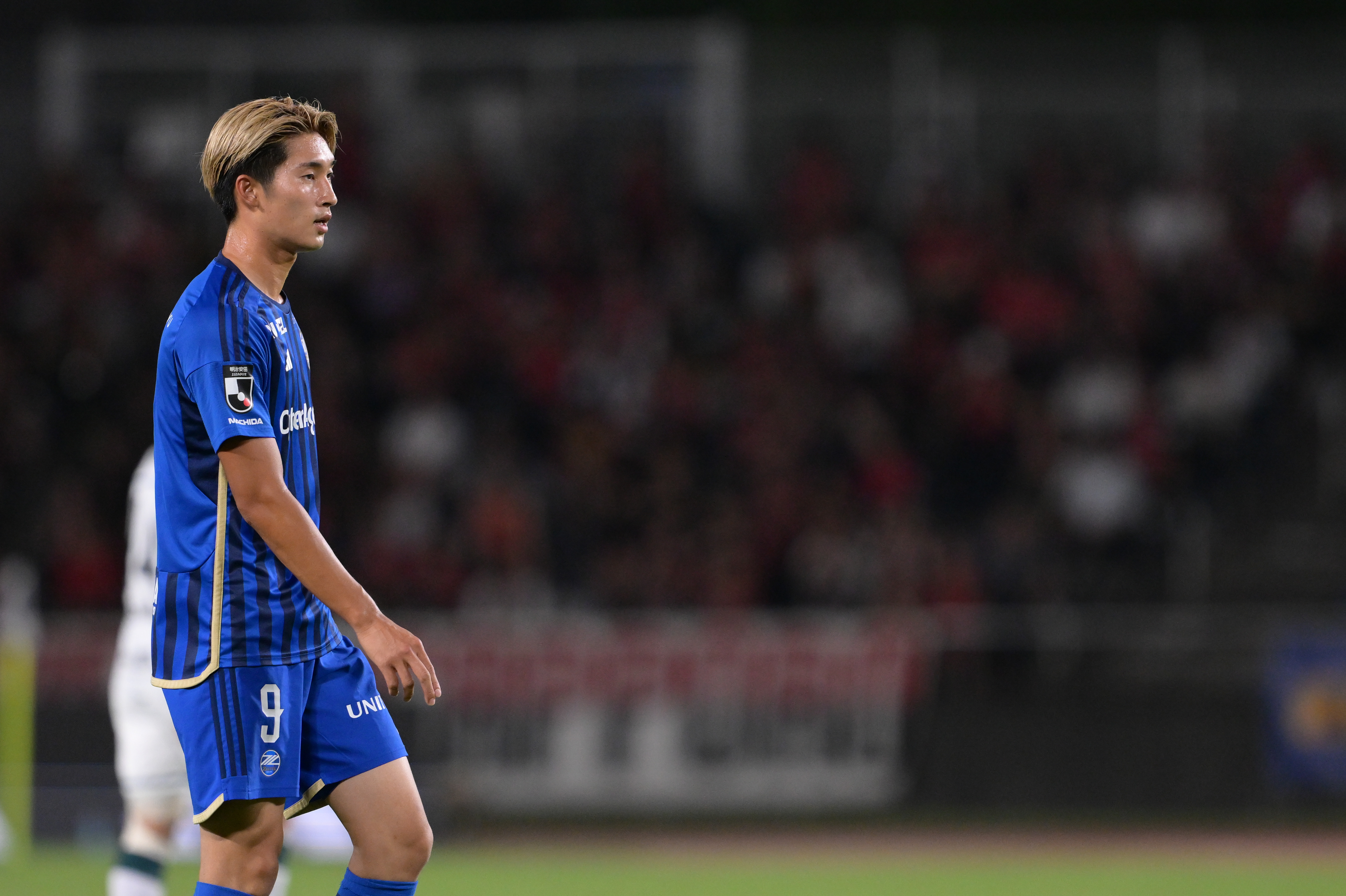 藤尾翔太選手「スカパー!TVガイドBS+CS 最新号：2024年11月号」掲載のお知らせ