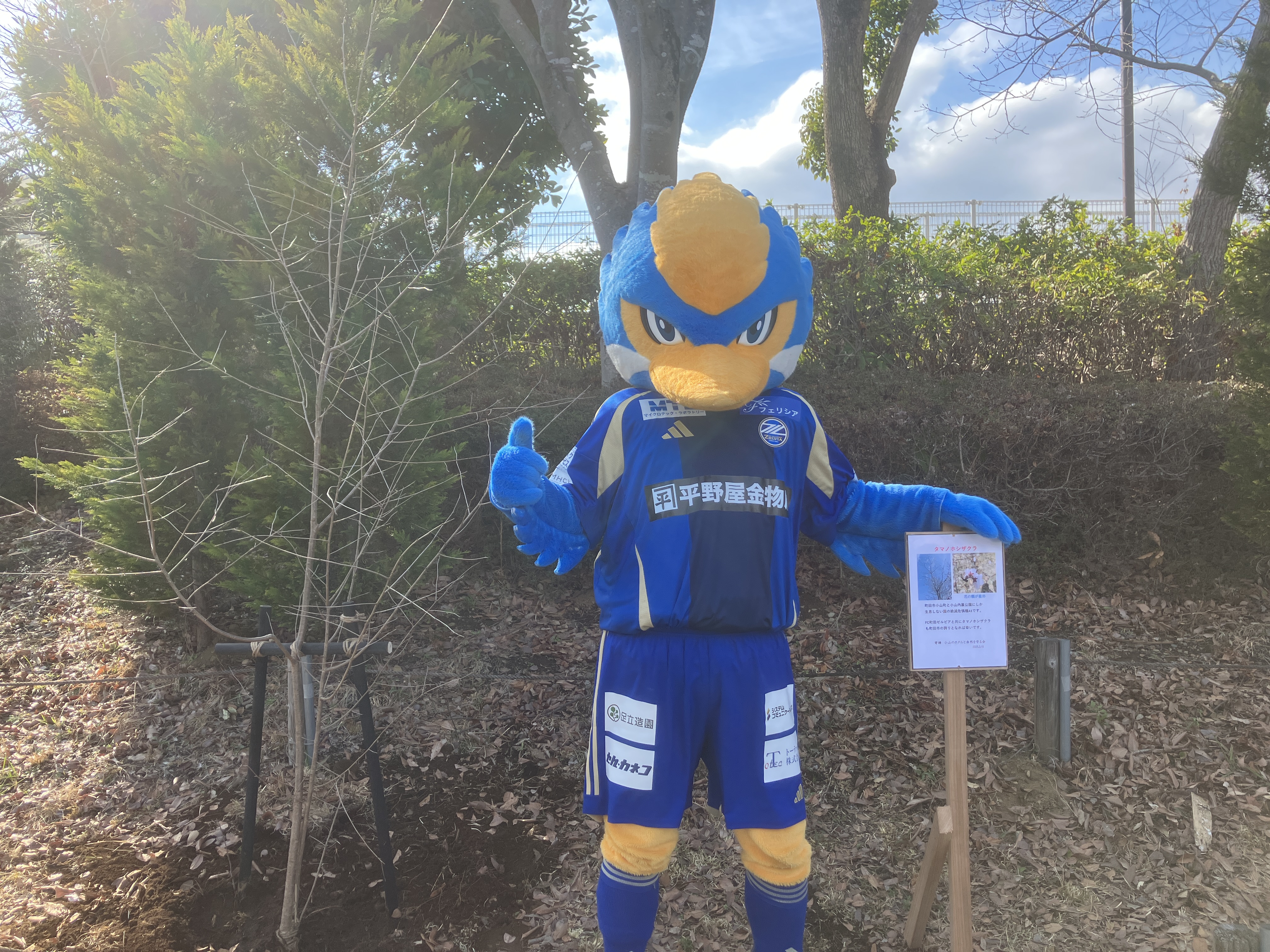 【活動報告】ゼルビーがタマノホシザクラ植樹に参加しました！