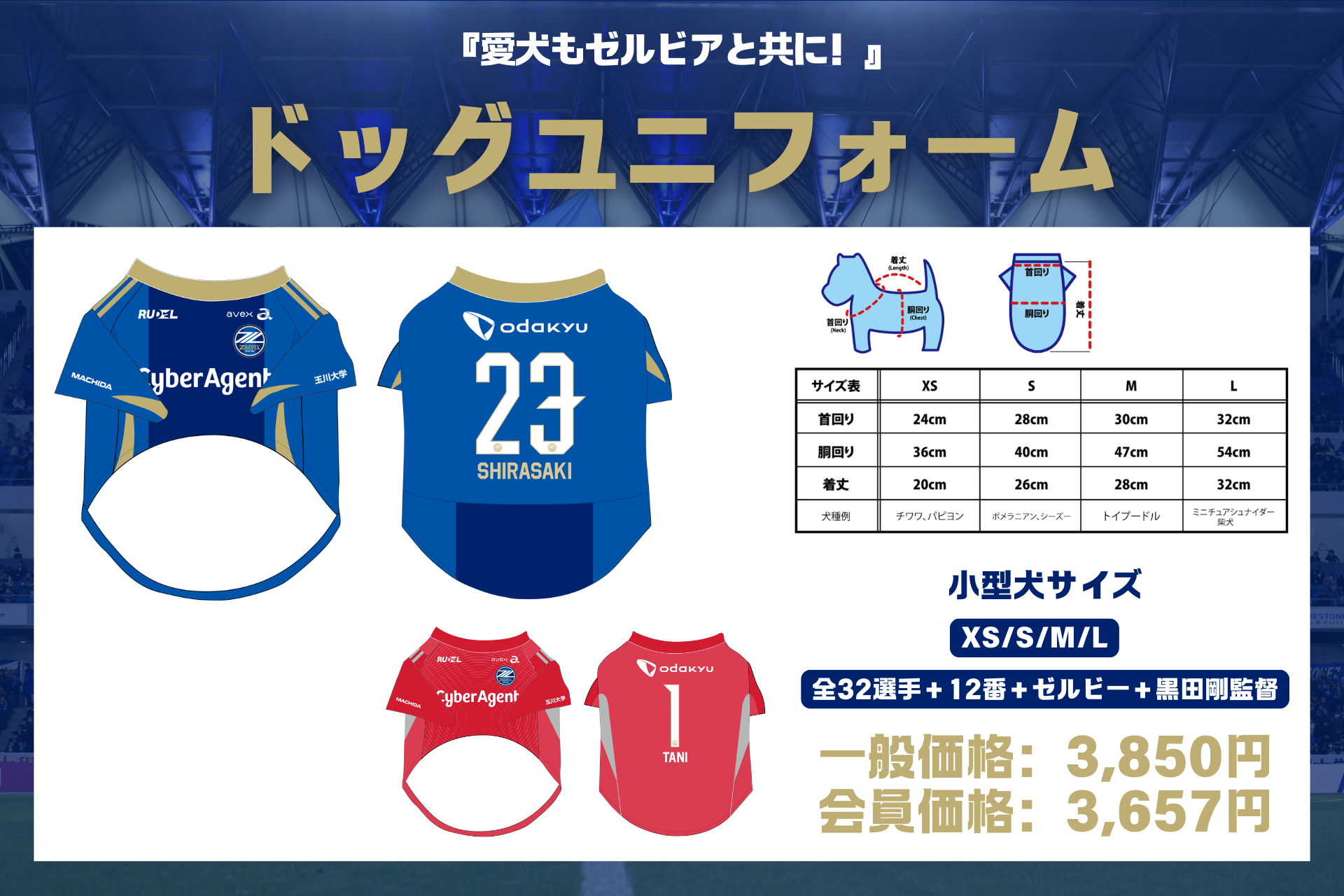 全選手対応】2025プレーヤーズグッズ”第4弾”販売開始