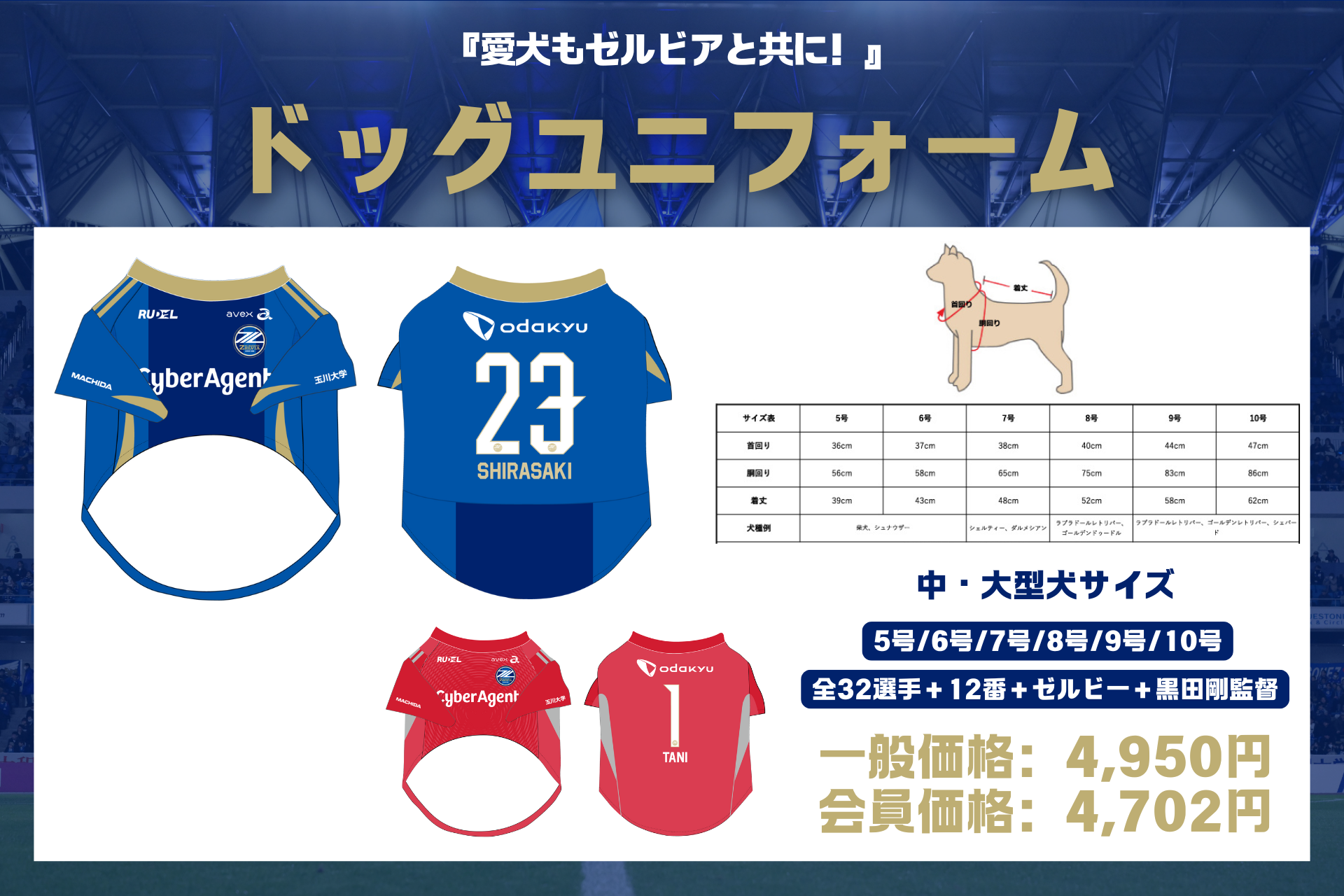 FC町田ゼルビア　選手実使用ウォーミングアップウェア　Ｌサイズ　美品　匿名便即発 FC町田ゼルビア 選手実使用ウォーミングアップウェア Lサイズ