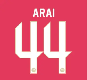 44 ARAI