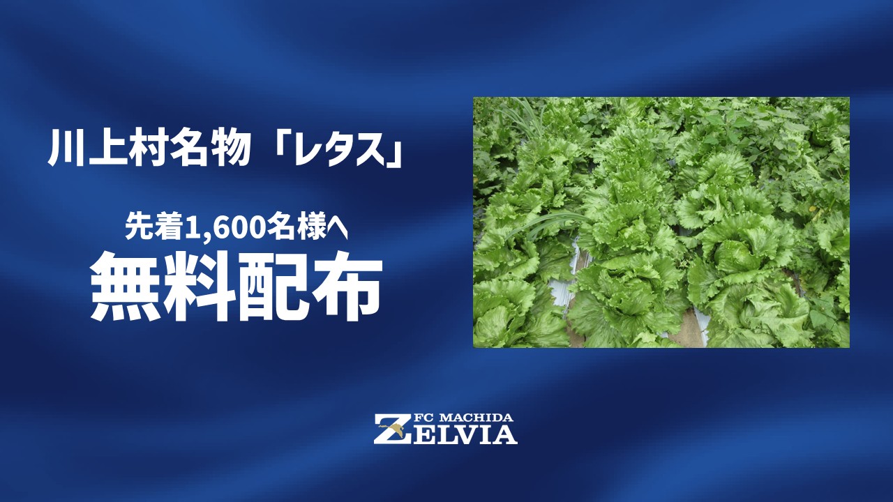 【9/2(水)vs川崎フロンターレ戦】川上村名物「レタス」無料配布